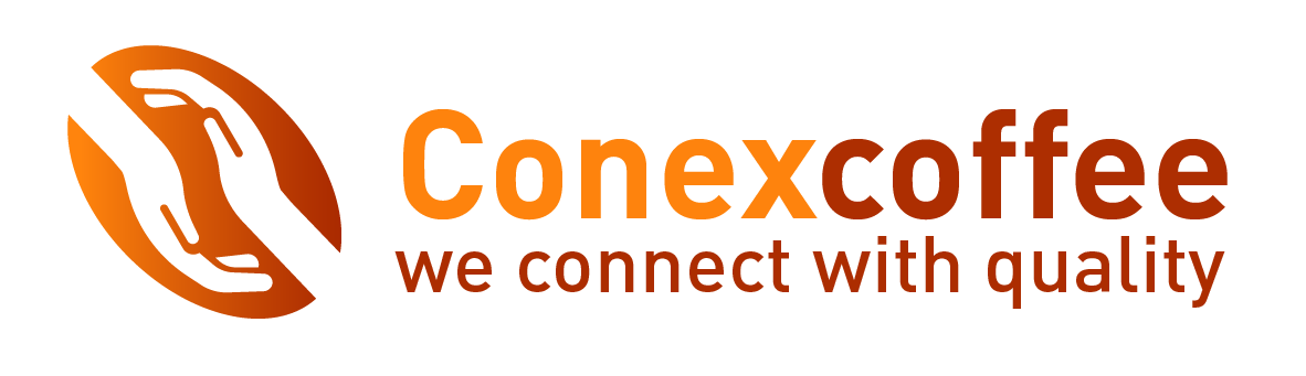 logo dark
